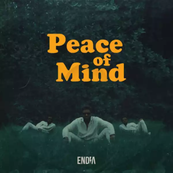 Endia - Peace of Mind